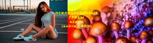 альфа пвп Нязепетровск